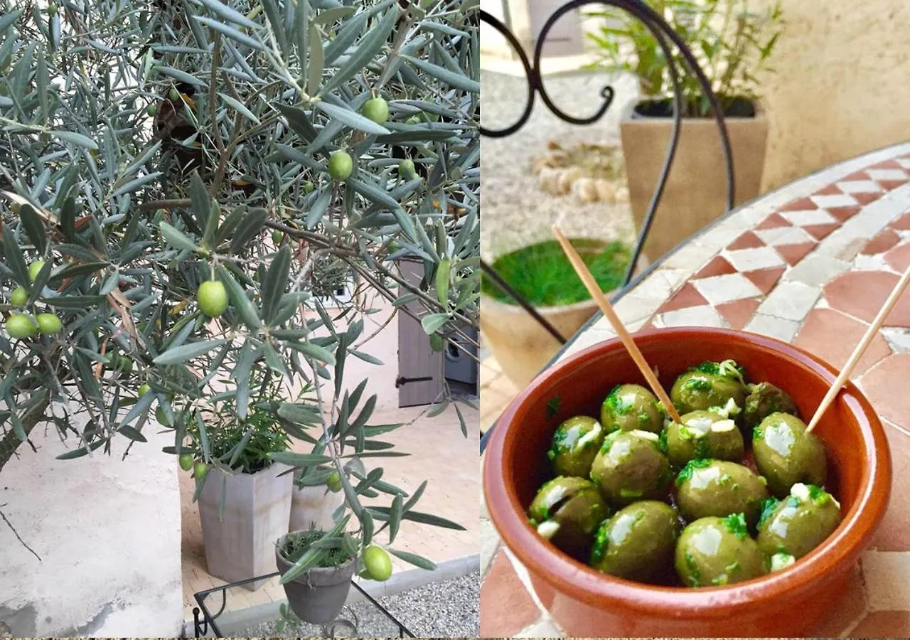 La Grange De La Batone - Bed And Breakfast Messimy-sur-Saone
